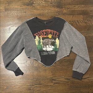 Gray and Black Yosemite Cropped Sweatshirt